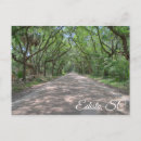 Recherche de chemin de terre cartes postales Arbres