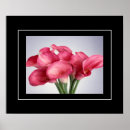 Recherche de calla posters Nature
