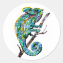 Recherche de caméléon autocollants Coloré