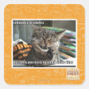 Recherche de chat vampire autocollants Je peux avoir cheezburger