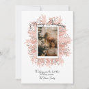 Recherche de mistletoe photo christmas vœux cartes Famille