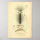 Recherche de 1845 Mer