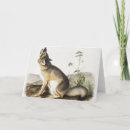 Recherche de velo cartes postales Vintage