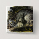 Recherche de lynx badges Couleur