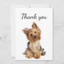 Recherche de yorkshire terriers vœux cartes Chien