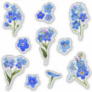 Recherche de myosotis autocollants Myosotis des marais