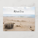 Recherche de mauritius cartes postales Vacances