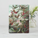 Recherche de colibris invitations Exotique