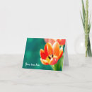 Recherche de tulipes oranges vœux cartes Pour tous