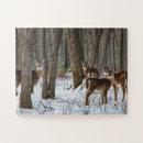 Recherche de chasse puzzles Animaux