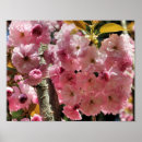 Recherche de macro de fleur posters Mère