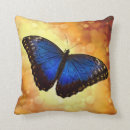 Recherche de papillon bleu morpho coussins Insecte