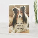 Recherche de shetland vœux cartes Sheltie