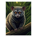 Recherche de perche posters Faune