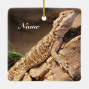 Recherche de porte ornements Animal