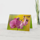 Recherche de orchidée jaune vœux cartes Photographie
