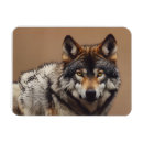 Recherche de loup de forêt magnets Nature