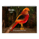 Recherche de oiseau calendriers Perroquet