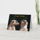 Recherche de meerkat vœux cartes D'anniversaire