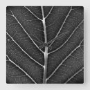 Recherche de belle nature horloges Feuille