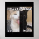 Recherche de femme de chat posters 2025