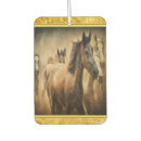 Recherche de cheval voiture accessoires Toute personne