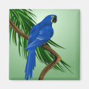 Recherche de oiseaux exotiques magnets Animaux