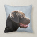 Recherche de de labrador retriever coussins Chiot