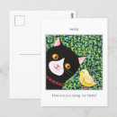 Recherche de poussins cartes postales Toute personne