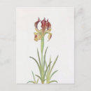 Recherche de sari cartes postales Pour tous