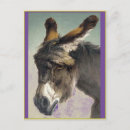 Recherche de professeur verticales cartes postales Artiste
