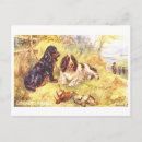 Recherche de cockers cartes postales Antique