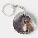 Recherche de marmottes porteclés Faune