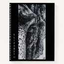 Recherche de unique elephant Safari