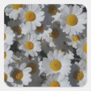 Recherche de pétales de marguerite autocollants Pour tous