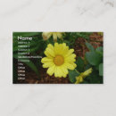 Recherche de marguerite jaune cartes visite Floral