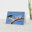 Recherche de humour hibou cartes postales Faune