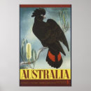 Recherche de cockatoo posters Noir