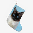 Recherche de peinture chat de chaussette de noël Chaton