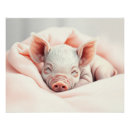 Recherche de endormi posters Bientôt maman