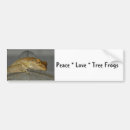 Recherche de froggie photographie Crapaud