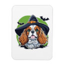 Recherche de balai magnets Halloween