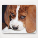 Recherche de adorable chien tapis souris Animaux de compagnie