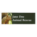 Recherche de faune et flore photographie Animal