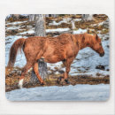 Recherche de ranch photographie Animal