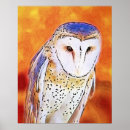 Recherche de hibou blanc posters Oiseau