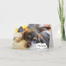 Recherche de sick cartes postales Chien