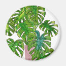 Recherche de feuille de pot magnets Plante