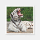 Recherche de tigre blanc serviettes Tigres
