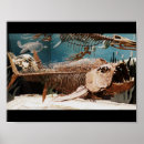 Recherche de dinos posters Préhistorique